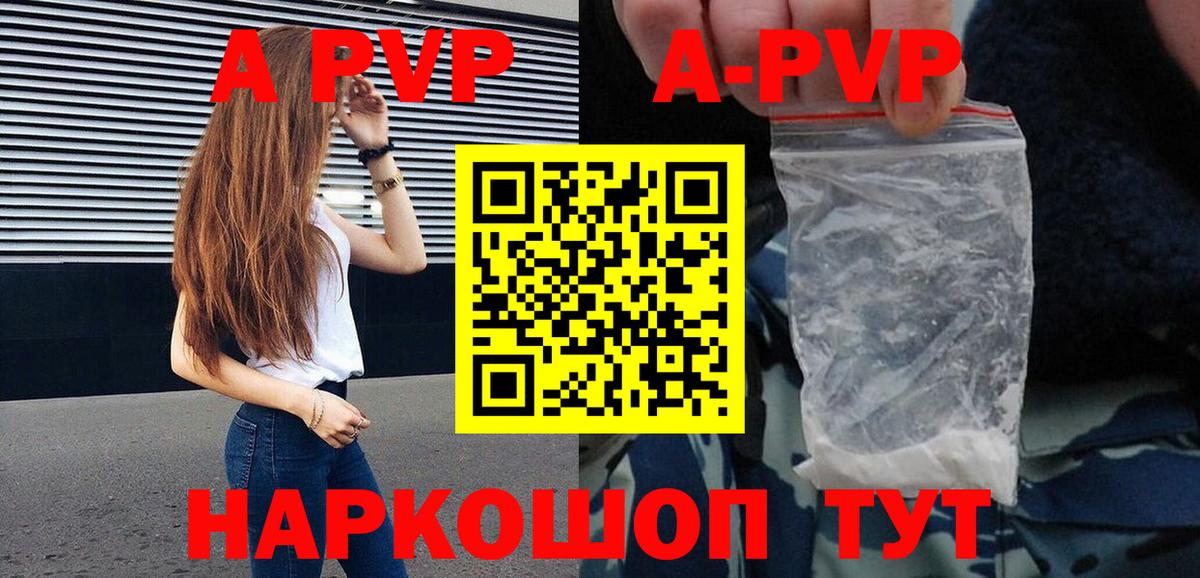 Альфа ПВП СК Сосновоборск