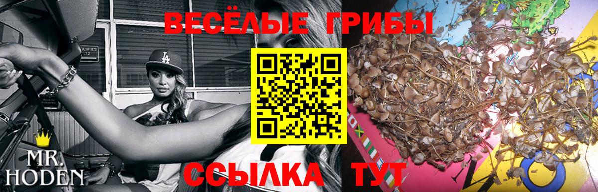 Галлюциногенные грибы мухоморы  Вход с VPN  где найти   Сосновоборск 